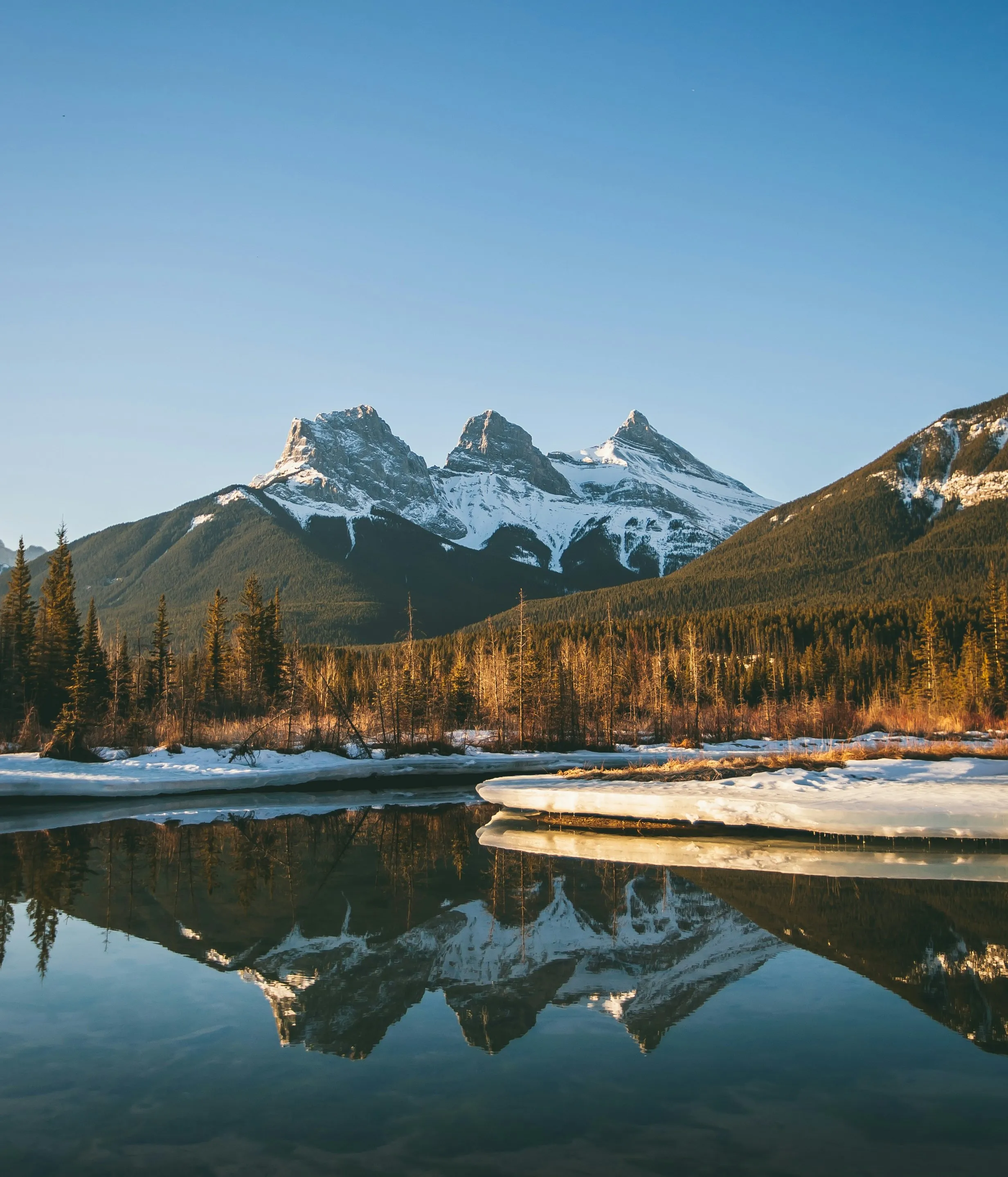 CVC-PMCC Collaborative Summit